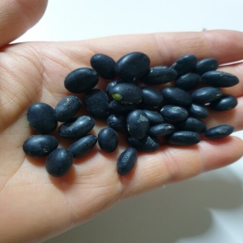 세척들깨, 서리태, 노랭이배추, 콩, 잎플로, 잎플로 서각마을, 들깨, 배추, 고랭지, 검은콩, 서각마을, 국내산, 김장배추, 김장,콩국수, 참기름, 들기름, 친환경