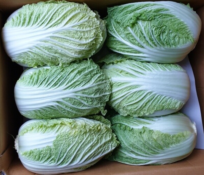 세척들깨, 서리태, 노랭이배추, 콩, 잎플로, 잎플로 서각마을, 들깨, 배추, 고랭지, 검은콩, 서각마을, 국내산, 김장배추, 김장,콩국수, 참기름, 들기름, 친환경