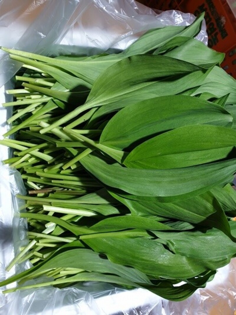 세척들깨, 서리태, 노랭이배추, 콩, 잎플로, 잎플로 서각마을, 들깨, 배추, 고랭지, 검은콩, 서각마을, 국내산, 김장배추, 김장,콩국수, 참기름, 들기름, 친환경