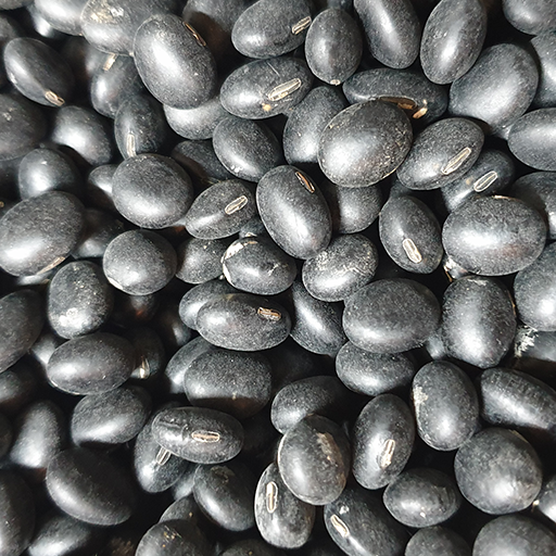 속이파란 납작 서리태